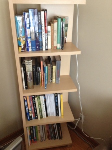 B's bookcase #2 in the living room